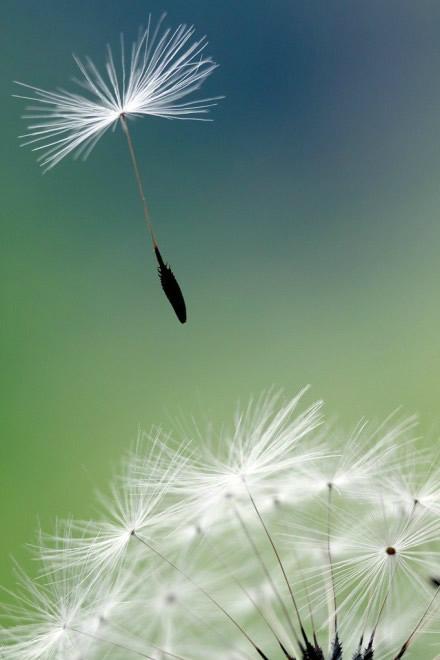 論文檢索證明怎么開？用怎么瀏覽？